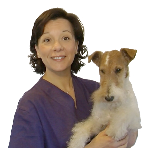 Imagen 38 Telepizza foto