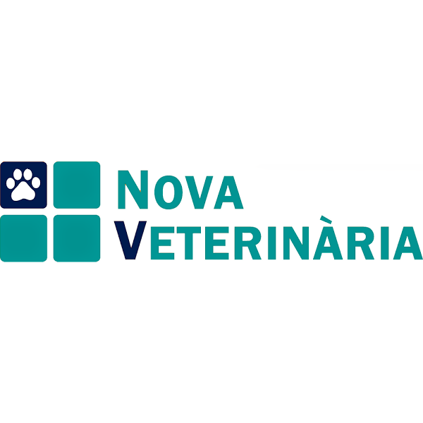 Imagen 40 Telepizza foto