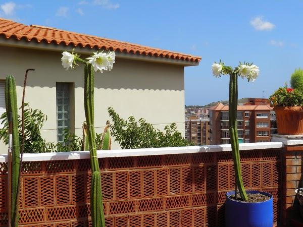 Imagen 13 Catering Maestrat foto