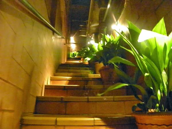 Imagen 30 Catering Maestrat foto