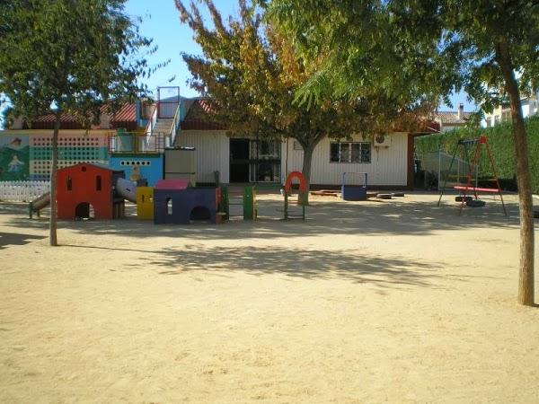 Imagen 42 Restaurante la Palma foto