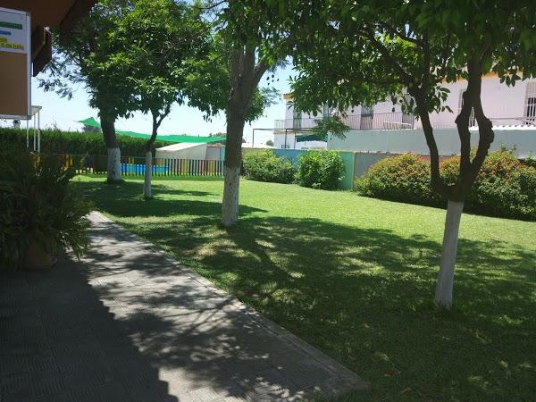 Imagen 44 Restaurante la Palma foto