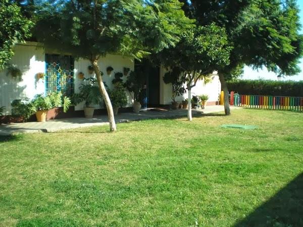 Imagen 47 Restaurante la Palma foto