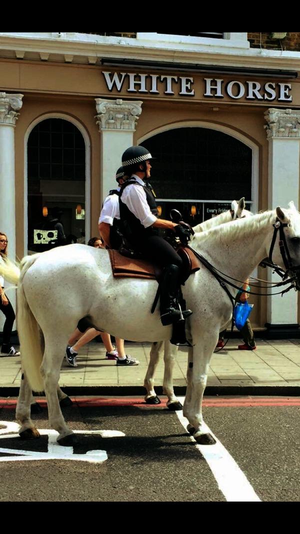 Imagen 50 Restaurante la Palma foto