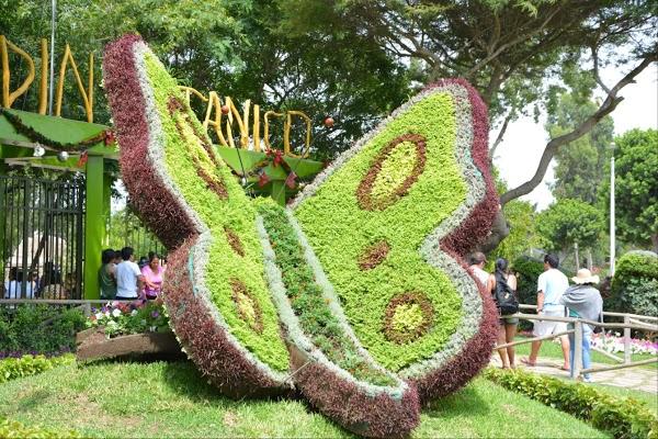 Imagen 1 Sociedad Cooperativa Campo Ejido foto