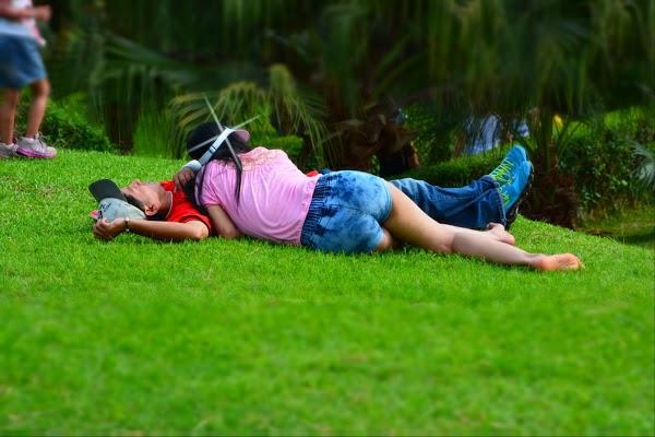 Imagen 2 Sociedad Cooperativa Campo Ejido foto