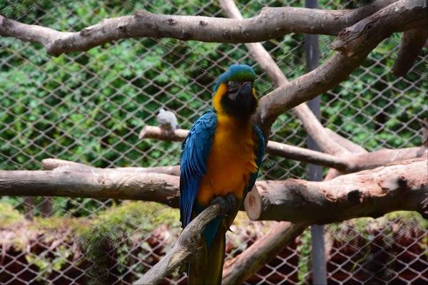 Imagen 3 Sociedad Cooperativa Campo Ejido foto