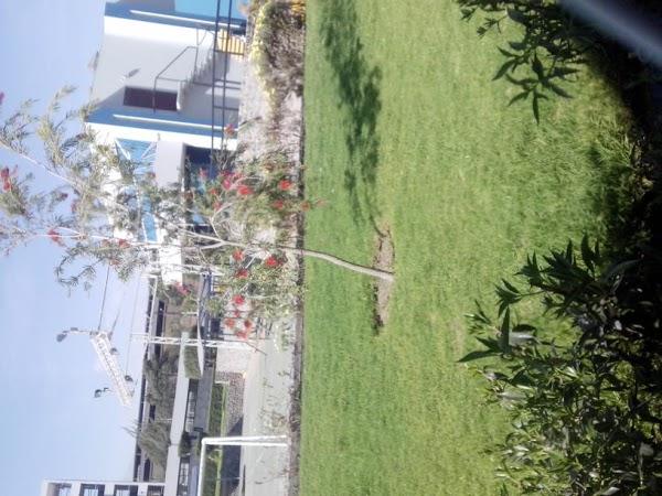 Imagen 6 Sociedad Cooperativa Campo Ejido foto