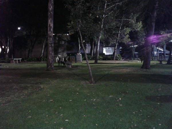 Imagen 6 VELSYSTEM foto