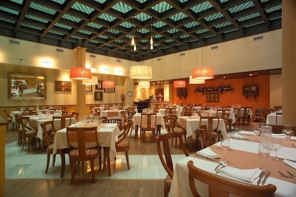 Imagen 8 Hotel Sercotel Artheus foto