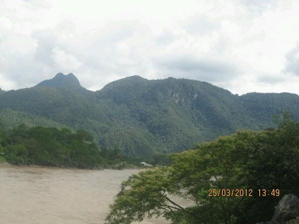 Imagen 1 GreenGrass Landscape Maintenance foto