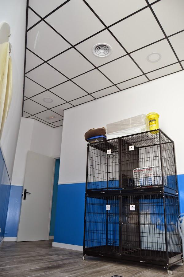 Imagen 2 GreenGrass Landscape Maintenance foto