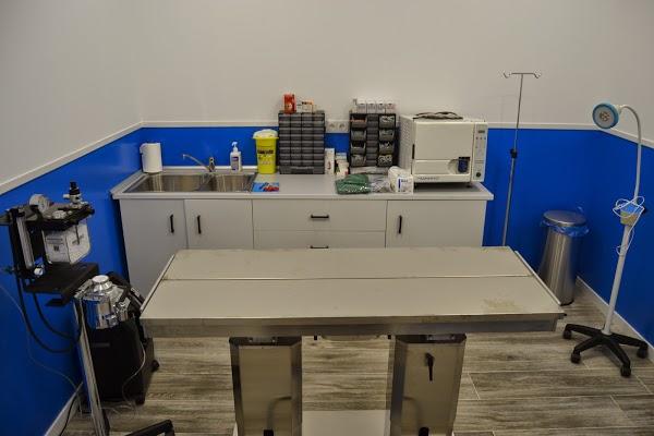 Imagen 3 GreenGrass Landscape Maintenance foto