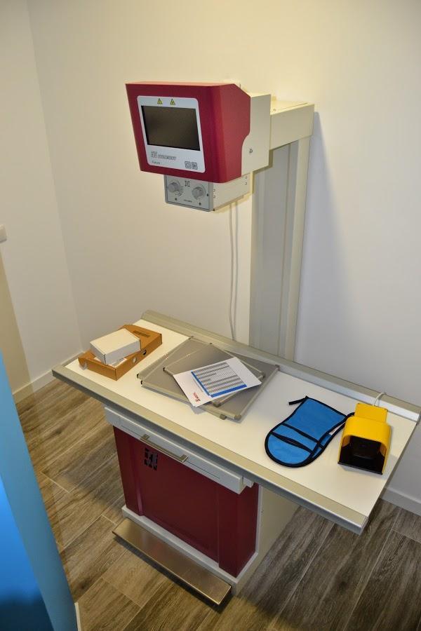 Imagen 4 GreenGrass Landscape Maintenance foto