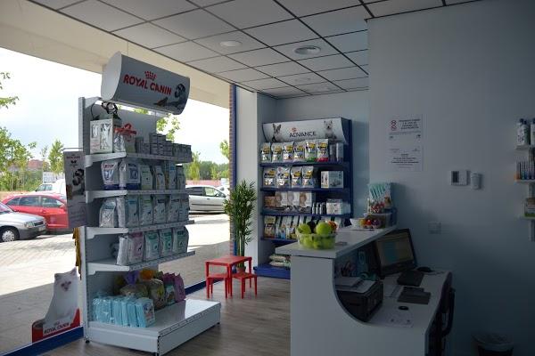 Imagen 5 GreenGrass Landscape Maintenance foto