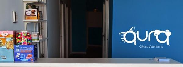 Imagen 6 GreenGrass Landscape Maintenance foto