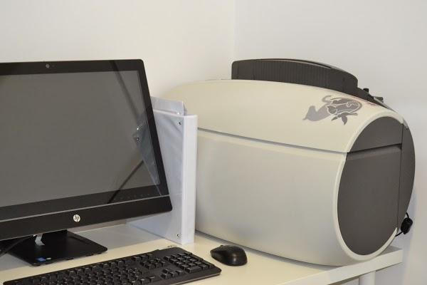 Imagen 7 GreenGrass Landscape Maintenance foto