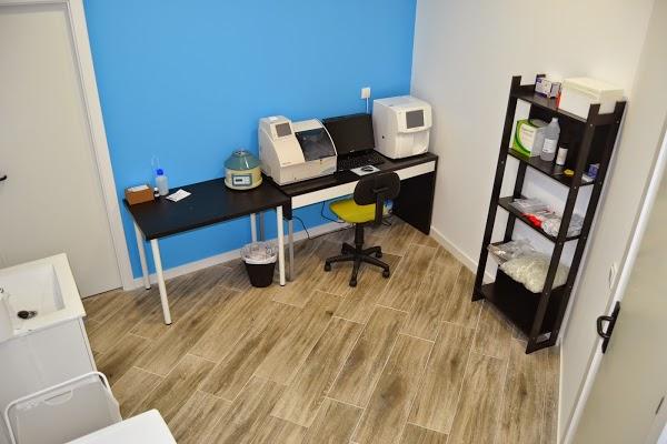 Imagen 8 GreenGrass Landscape Maintenance foto