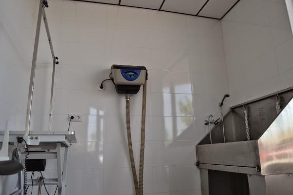 Imagen 9 GreenGrass Landscape Maintenance foto