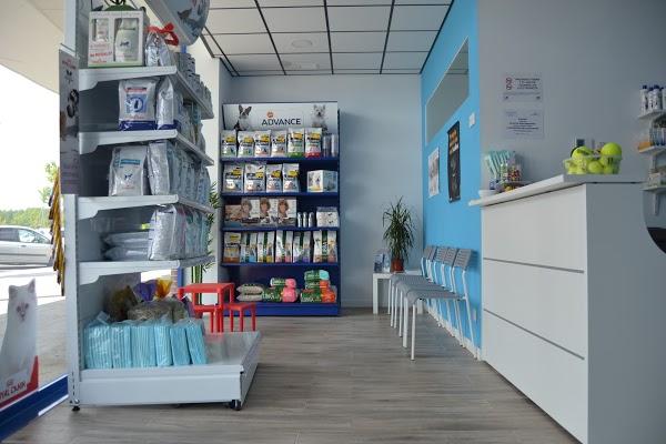 Imagen 10 GreenGrass Landscape Maintenance foto