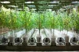 Imagen 12 Confitería Asturias foto