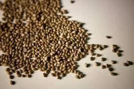 Imagen 3 Confitería Asturias foto