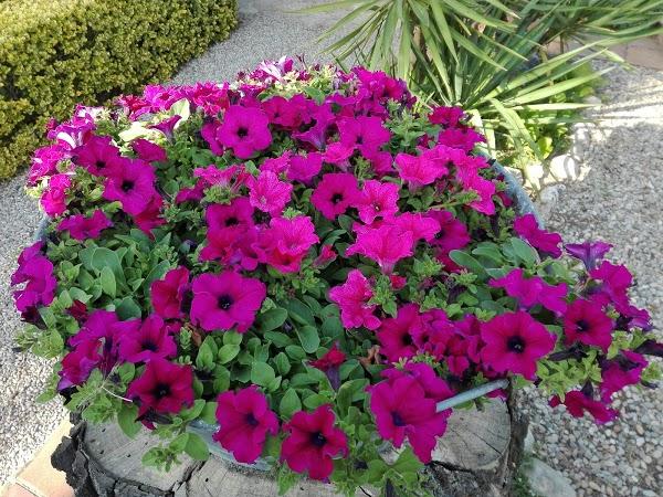 Imagen 19 Torras Suministros Industriales, S.L. foto