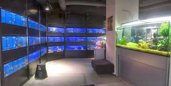 Imagen 4 RF Astoria foto