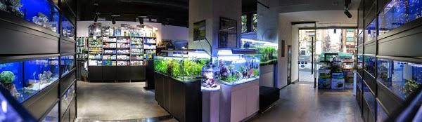 Imagen 5 RF Astoria foto