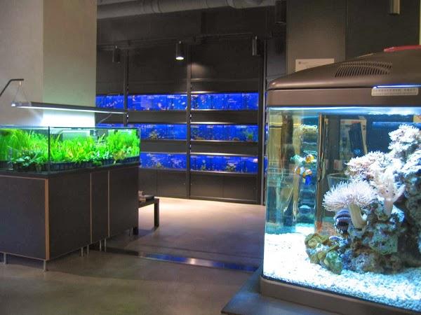 Imagen 7 RF Astoria foto