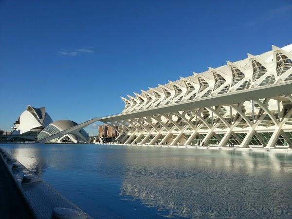 Imagen 13 TXOKO-TXIKI foto