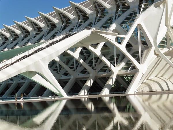 Imagen 17 TXOKO-TXIKI foto