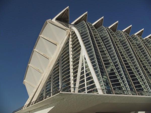 Imagen 28 TXOKO-TXIKI foto