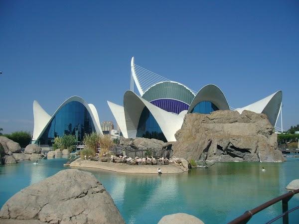 Imagen 36 TXOKO-TXIKI foto