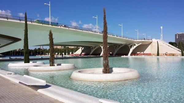 Imagen 42 TXOKO-TXIKI foto