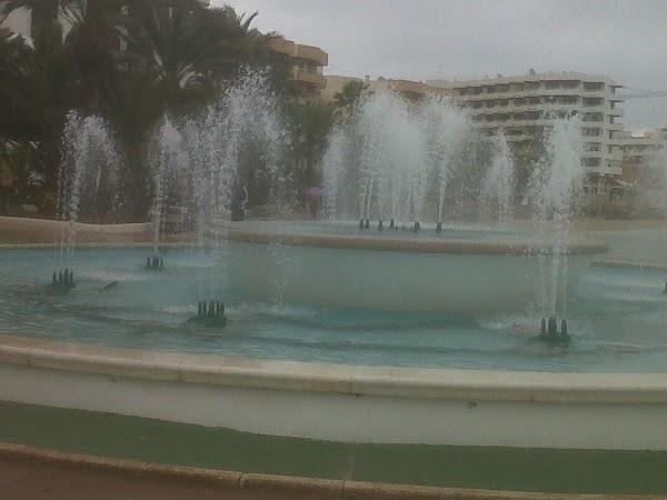 Imagen 13 Restaurante La Rambla foto