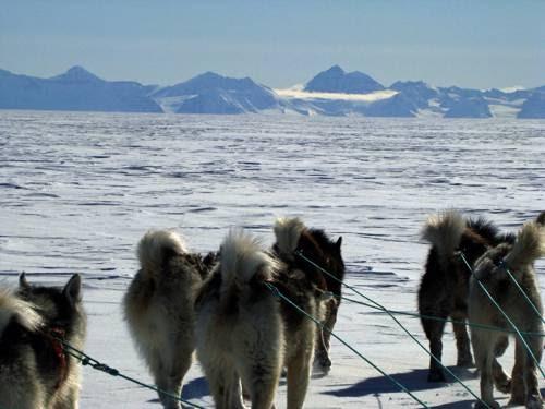 Imagen 5 Auditori Molí de Vila foto