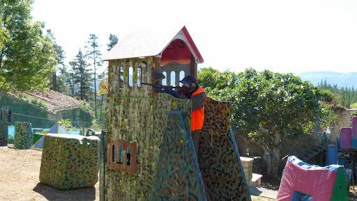 Imagen 5 Maskota Food El Triangulo foto