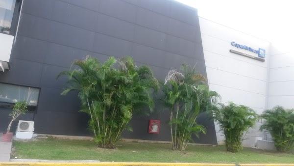 Imagen 32 Sodimac Constructor foto