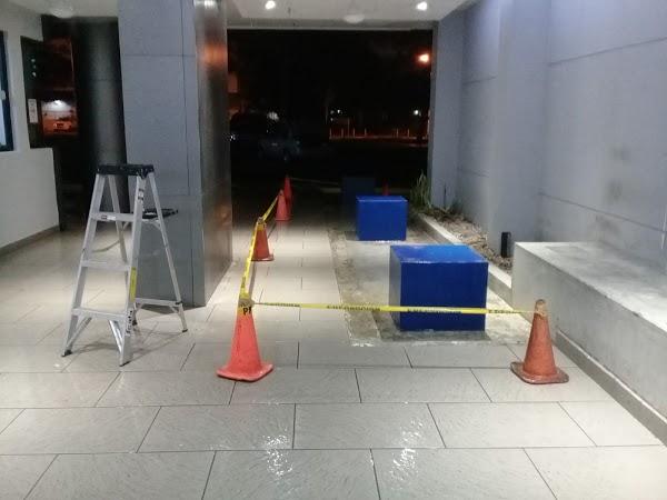 Imagen 63 Pizzeria Capri foto