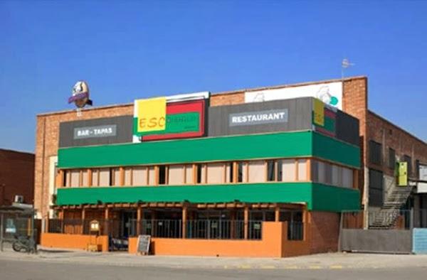 Imagen 12 Villas Flamingos Holbox foto