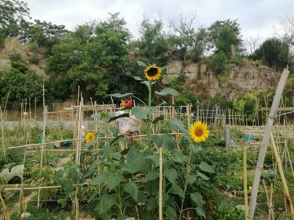 Imagen 82 Articulos de Pesca El Faro foto