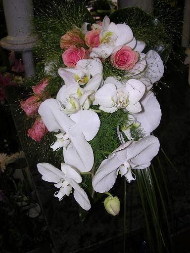 Imagen 3 Las Brisas De Santa Fe foto