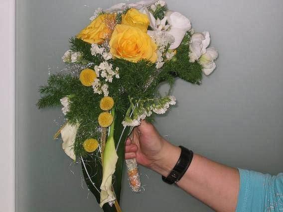 Imagen 4 Las Brisas De Santa Fe foto