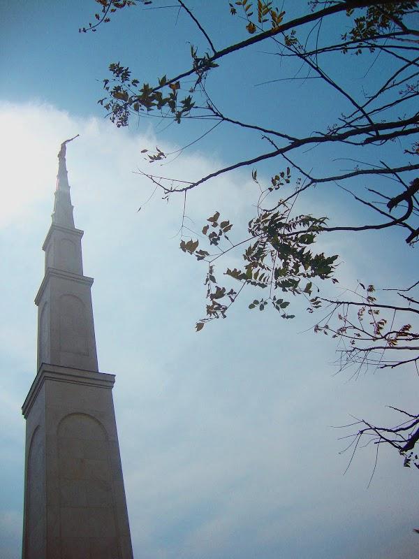 Imagen 18 Residencial Davida foto