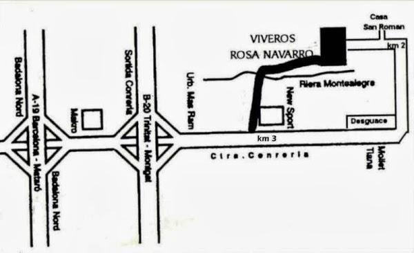 Imagen 23 Viveros Rosa Navarro foto