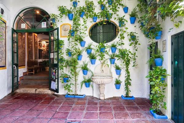 Imagen 13 Lomas del Paraíso I foto