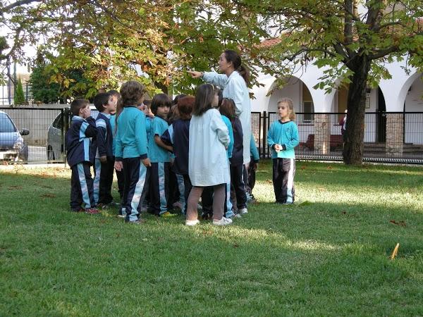 Imagen 46 Piscina Torrente Ballester foto