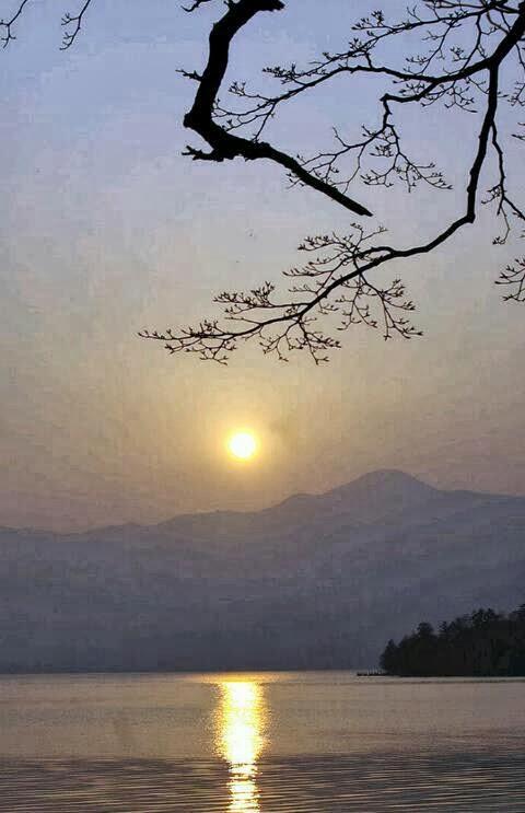 Imagen 1 RESTAURANT LA PRIMAVERA foto