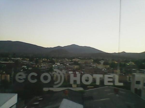 Imagen 2 RESTAURANT LA PRIMAVERA foto